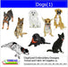 Machine Embroidery Designs - Dogs(1) - Threadart.com