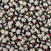 The image is a collage of various white daisy flowers with green leaves scattered across a black background.