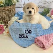 Personalized Puppy Blanket - Soft Minky Ivory, Blue and Pink - Threadart.com