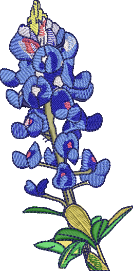 Bluebonnet Texas Flower Embroidery Design Instant Download - Multiple Sizes - 8 Formats - Threadart.com