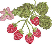 Strawberries on the Vine Embroidery Design Instant Download - Multiple Sizes - 8 Formats - Threadart.com
