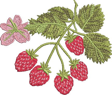 Strawberries on the Vine Embroidery Design Instant Download - Multiple Sizes - 8 Formats - Threadart.com