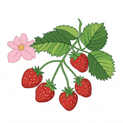 Custom Embroidery Digitizing Service | Upload Your Artwork - Threadart.com