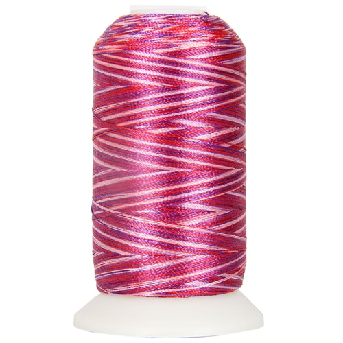 Variegated Multicolor Polyester Embroidery Thread Set - 5 Red Shades —