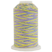 Multicolor Variegated Cotton Thread 600M - Wildflowers - Threadart.com