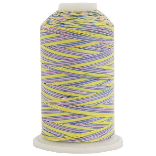 Multicolor Variegated Cotton Thread 600M - Wildflowers - Threadart.com