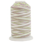 Multicolor Variegated Cotton Thread 600M - Violet Fields - Threadart.com