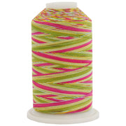 Multicolor Variegated Cotton Thread 600M - Lollipop - Threadart.com
