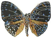Machine Embroidery Designs - Butterflies(2) - Threadart.com