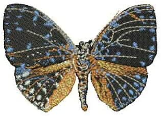Machine Embroidery Designs - Butterflies(2) - Threadart.com