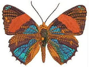 Machine Embroidery Designs - Butterflies(2) - Threadart.com