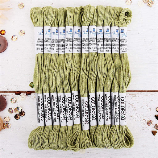 Moss Green Premium Cotton Embroidery Floss - Box of 12 - Six Strand Thread - No. 603 - Threadart.com