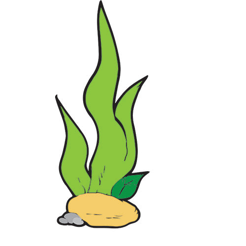 Machine Embroidery Designs - Sea Creatures(1) - Threadart.com