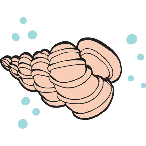 Machine Embroidery Designs - Sea Creatures(1) - Threadart.com