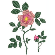 Machine Embroidery Designs - Wildflowers(1) - Threadart.com