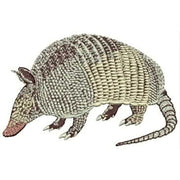 Machine Embroidery Designs - Texas(1) - Threadart.com