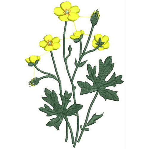 Machine Embroidery Designs - Wildflowers(1) - Threadart.com