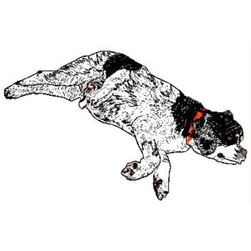 Machine Embroidery Designs - Dogs(1) - Threadart.com