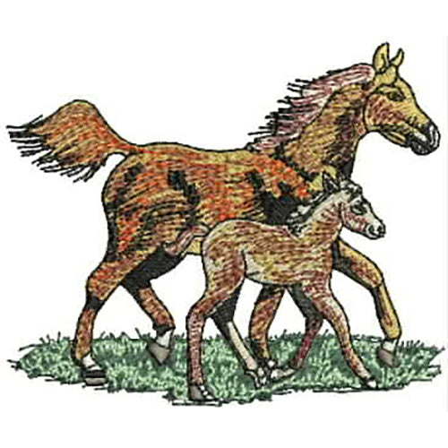 Machine Embroidery Designs - Horses(1) - Threadart.com