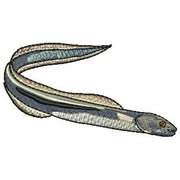 Machine Embroidery Designs - Marine Life(1) - Threadart.com