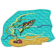 Machine Embroidery Designs - Marine Life(1) - Threadart.com