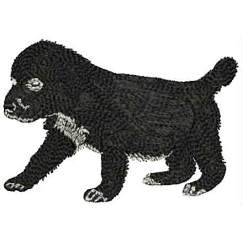 Machine Embroidery Designs - Puppies(1) - Threadart.com