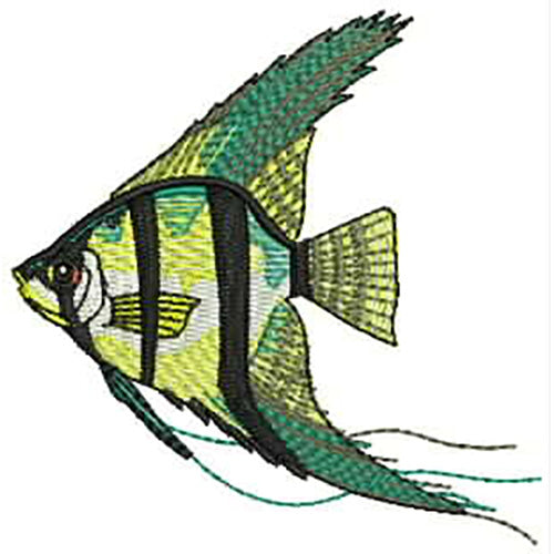 Machine Embroidery Designs - Tropical Fish(1) - Threadart.com