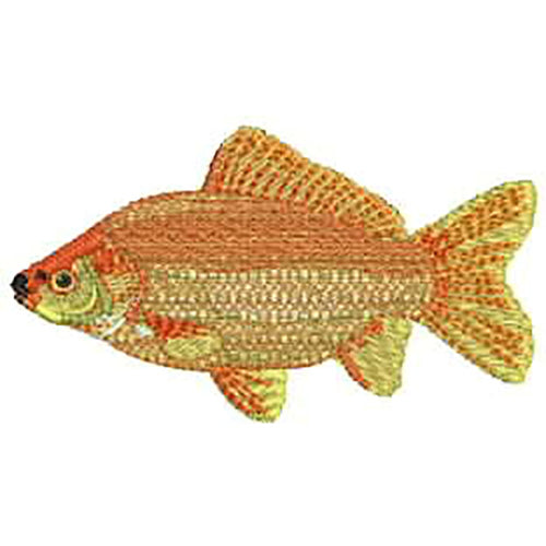 Machine Embroidery Designs - Tropical Fish(1) - Threadart.com