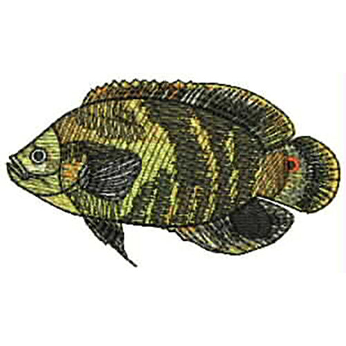 Machine Embroidery Designs - Tropical Fish(1) - Threadart.com