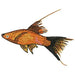 Machine Embroidery Designs - Tropical Fish(1) - Threadart.com