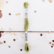 Moss Green Premium Cotton Embroidery Floss - Six Strand Thread - No. 603 - Threadart.com
