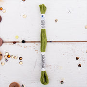 Avocado Premium Cotton Embroidery Floss - Six Strand Thread - No. 604 - Threadart.com