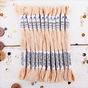Light Peach Premium Cotton Embroidery Floss - Box of 12 - Six Strand Thread - No. 607 - Threadart.com